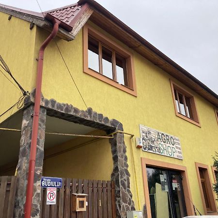 Casa Anna Villa Târgu-Mureş Exterior foto