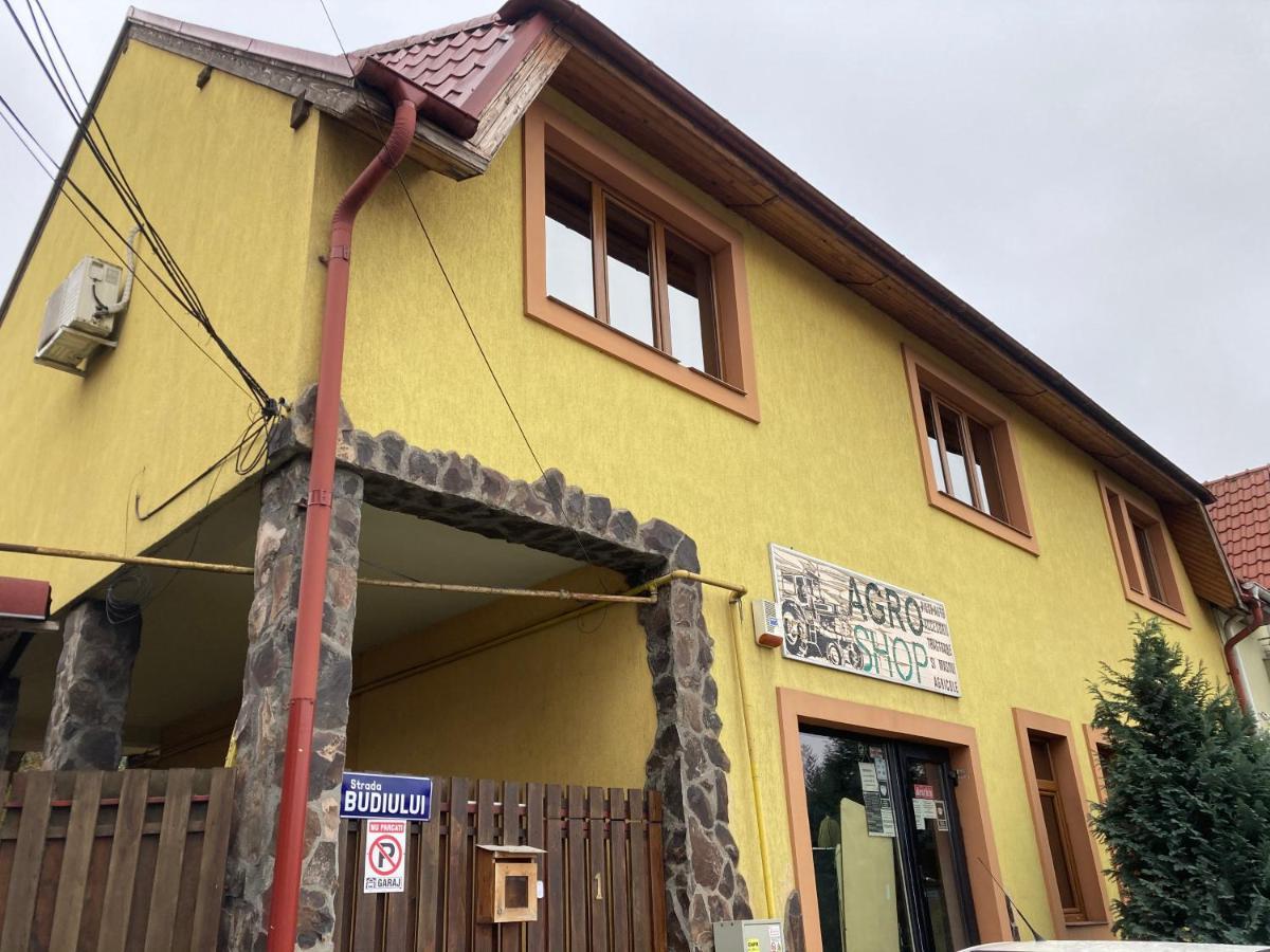 Casa Anna Villa Târgu-Mureş Exterior foto